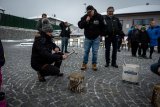 Vesnická zabíjačka - vepřové hody v Adamově 2022