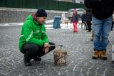 Vesnická zabíjačka - vepřové hody v Adamově 2022