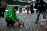 Vesnická zabíjačka - vepřové hody v Adamově 2022